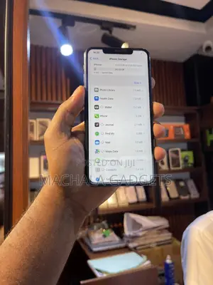Apple iPhone 11 Pro Max 256 GB Gray