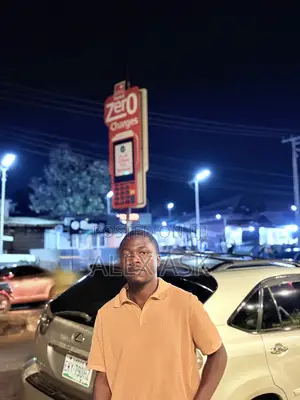 Mr Alex Egbonodje