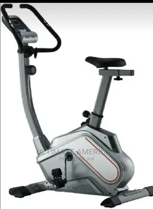 New Arriver Magnatic Bike Imported