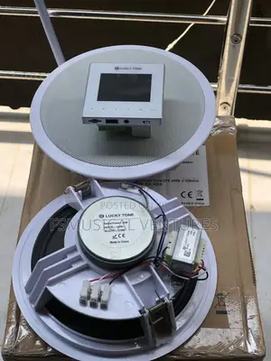 Lucky Tone 30watts Celling Speaker With 4inch in Wall Amplifier