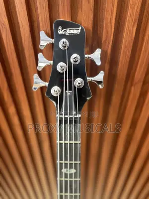 Well Sound Active 6 Strings Bass Guitar