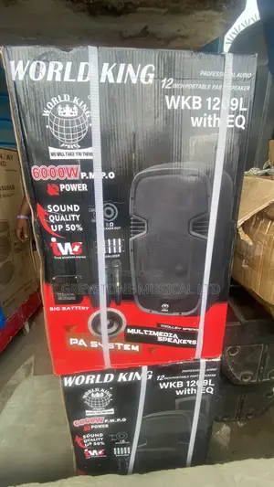 Megaphone Pa System World Kind 12 Inches