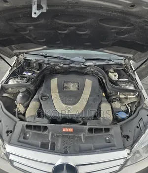 Mercedes-Benz C300 Sport Sedan AWD (3.0L 6cyl 7A) 2009 Gray