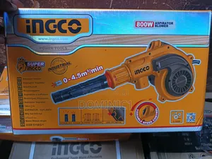 Ingco 800w Aspirator Blower (