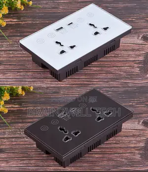 Tuya Wifi Type C Usb Wall Double Socket