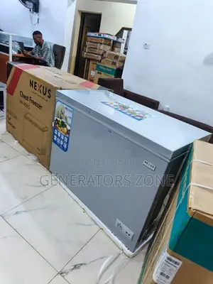 Nx-400g Frozen Storage Chest 320l