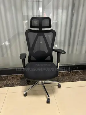 Black Mesh Ergonomic Office Chair With Adjustable Arms and Headrest