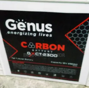 Genus 220amps Tubular 6months Premium Used Batteries