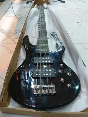 Wellsound Active Five String Bass Guitar