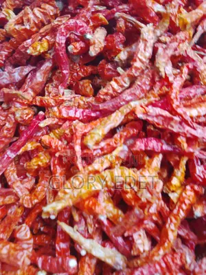 Hot Long Pepper