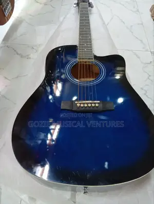 Semiger Electro Acoustic Guitar