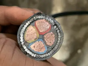 70mm Coleman Wire