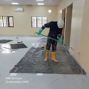 Professional Painter And Cleaner