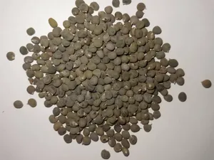 Okra Seed 1kg Pack