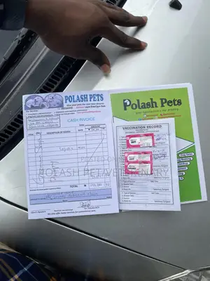 Trusted Vet Care for Your Pet