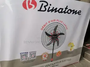 20 Inch Binatone Standing Fan