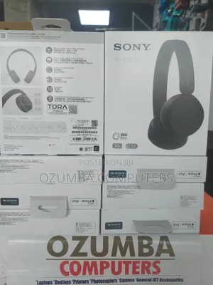 Sony Wh-Ch520 Wireless on-Ear Headphone