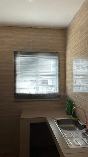 Shiny Silver 25mm Venetian Blinds
