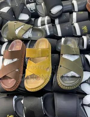 New Arrival Zara Luxury Palms