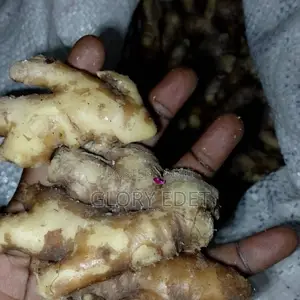 Fresh Ginger Available