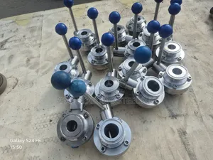 Dn 25 T C Butterfly Valve Ferrules