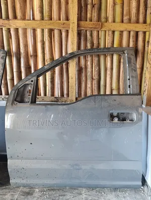 2015-2020 Ford F-150 Left Front Door (Driver's Door)