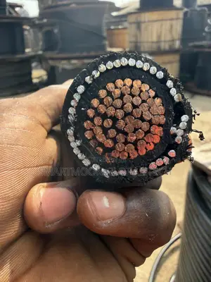 300mm Single Armored Cable