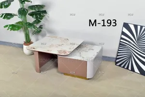 New Design 2 in 1 Center Table Available