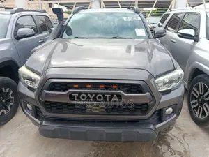 Toyota Tacoma TRD Off Road 2018 Gray