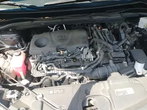 Toyota Sienna 2023 Brown