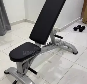 Adjustable Commercial Sit-Up Bench