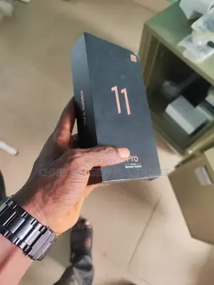 Xiaomi Mi 11 Pro 256 GB Silver