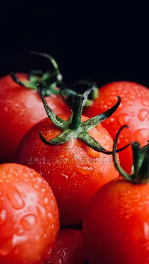 Tomatoes/Farmers Basket