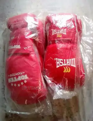 Brand New Boxing Gloves