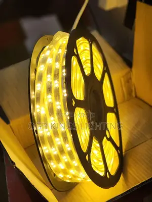 220v Led Strip Warm White 5050 Flexible Led Light Outdoor Waterproof