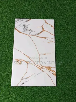 Toilet Wall Tiles