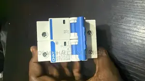 100a Chint MCB Breaker 2pole
