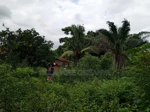 Poultry Farm on 4acres of Land at Apete Awotan