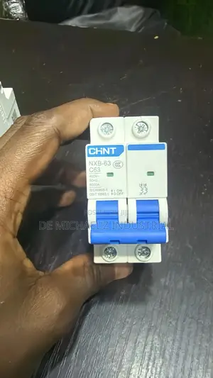 63a Chint MCB Circuit Breaker 2pole