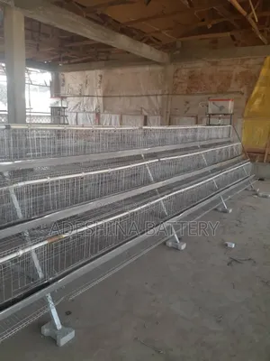 Battery Cages for Turkey and Chicken
