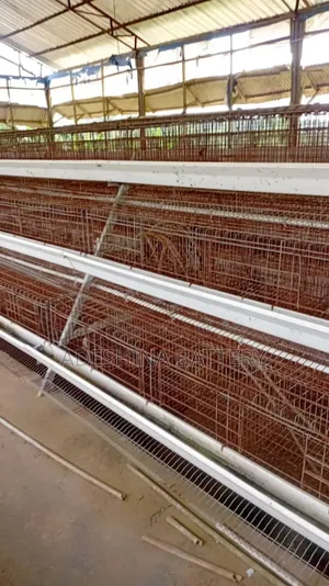 Long Lasting Non Rusted Cages