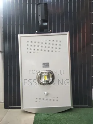 30w Solar Streetlight With Nepa Charging