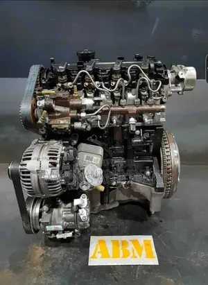 Diesel  Engine Nissan Juke