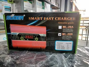 20a Lithium Battery Charge