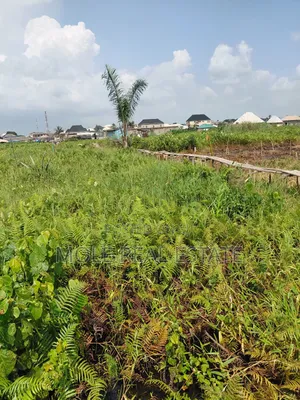 Over 400 Acers Of Land Sagamu Papalanto Ogun State