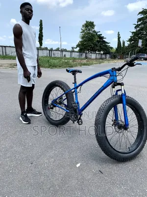 Foldable Bike