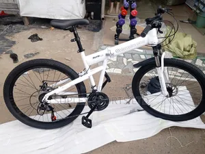 Mercedes Benz Foldable Bicycle