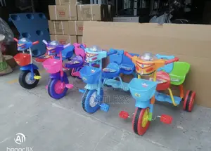 Children's Tricycle With a Carrier