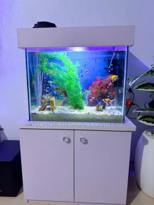 2ft Standard Aquarium