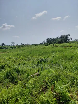 Distress Half Plot Ijegemo Interlocked New Road
